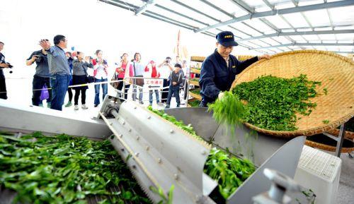 茶叶产业规模扩大 全程机械化生产步伐在加快